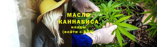 метадон Богданович