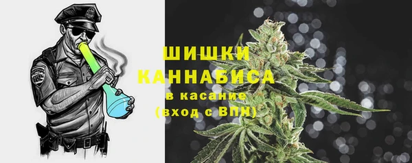 МДПВ Богородицк