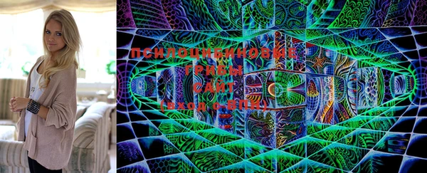 метадон Богданович