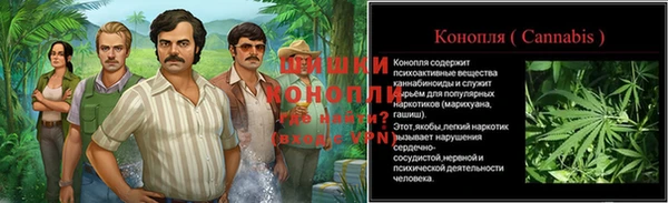 МДПВ Богородицк