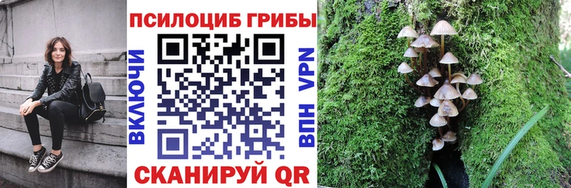 omg как войти  Дрезна  Псилоцибиновые грибы GOLDEN TEACHER 